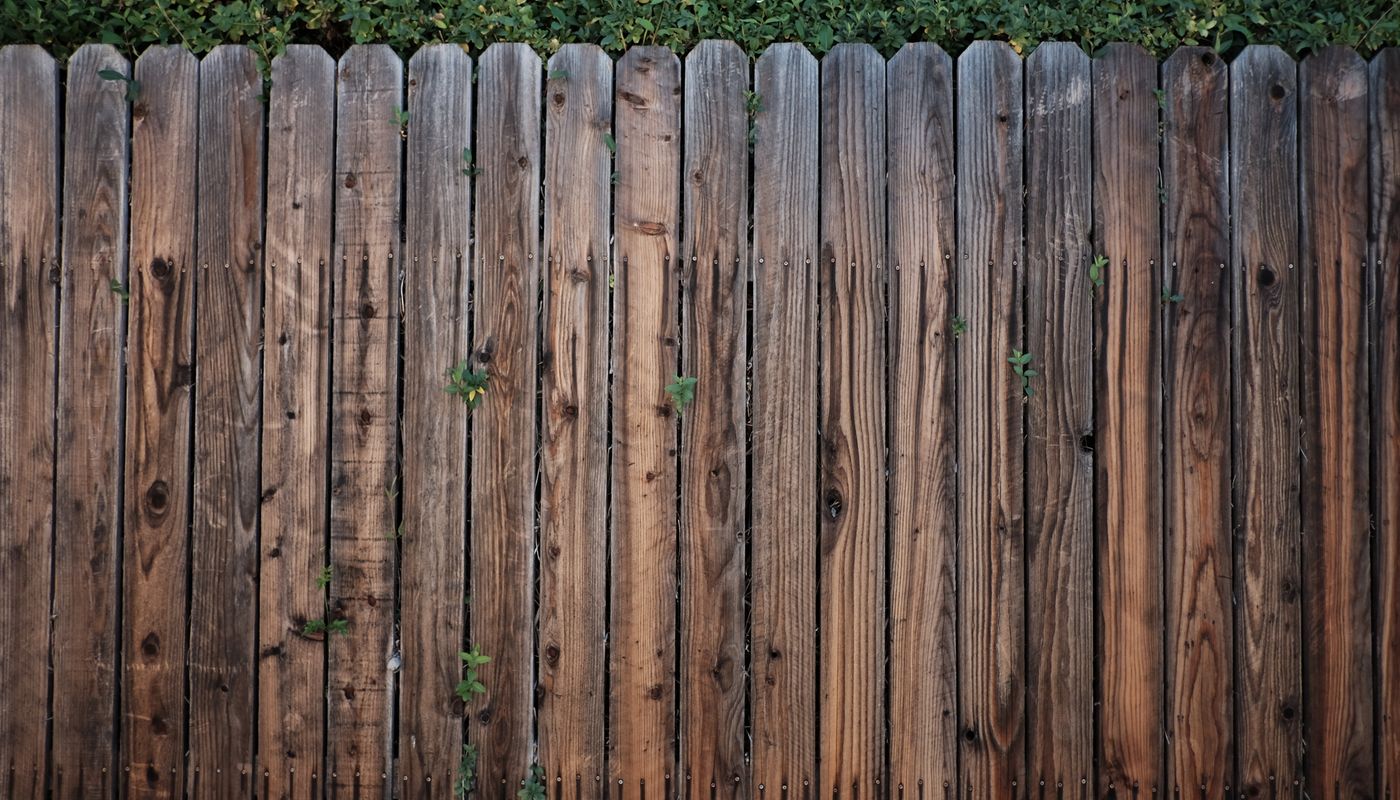 A newly installed cedar privacy fence