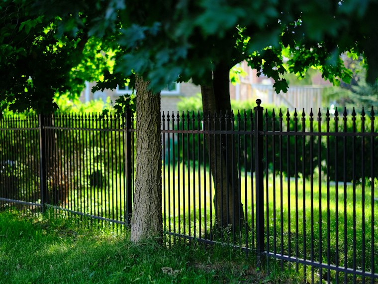Black aluminum ornamental fence under green trees